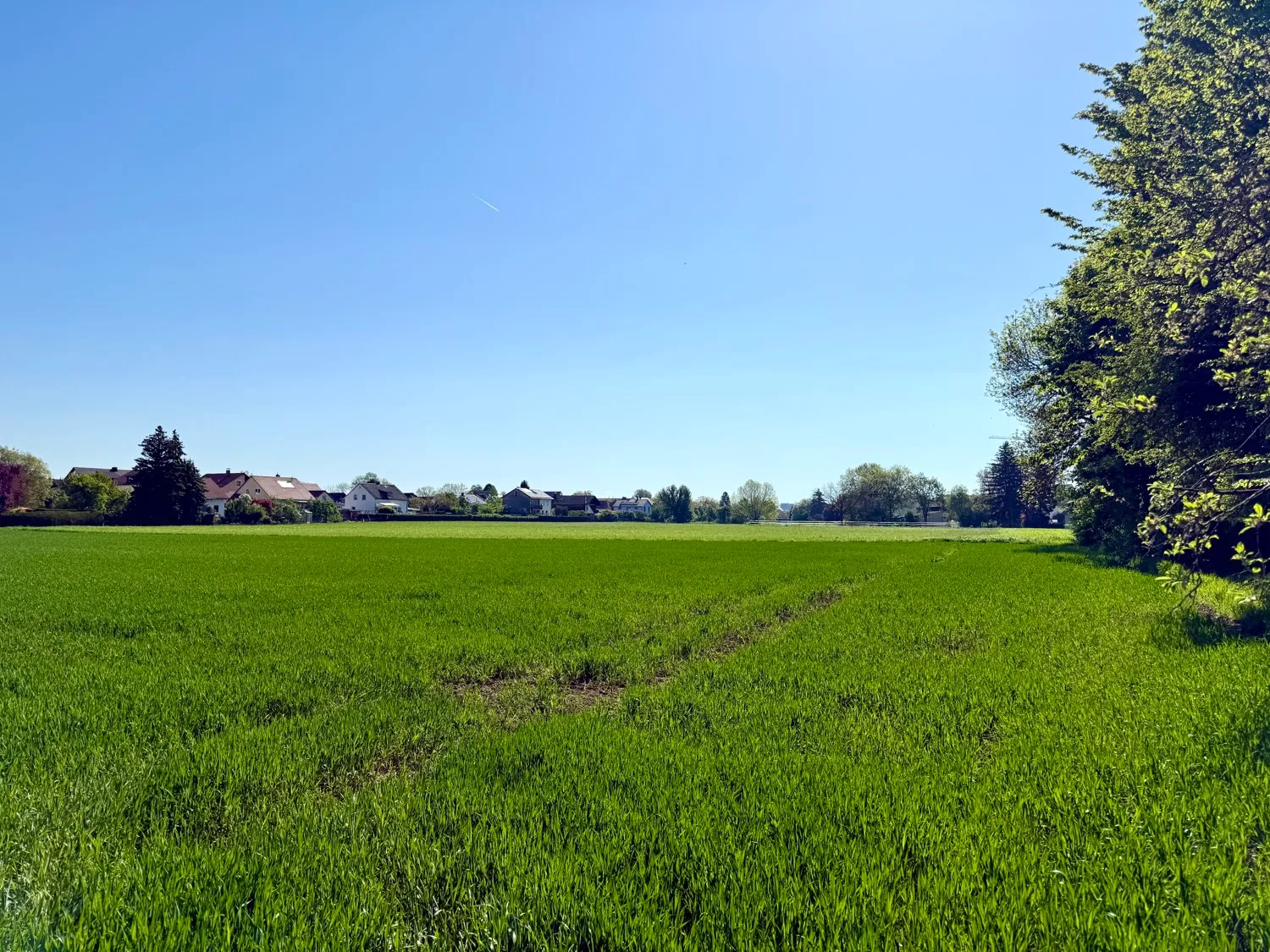 Wohnen an den Grünen Feldern