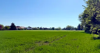 von_poll_real_estate_property_25119020b_image_15