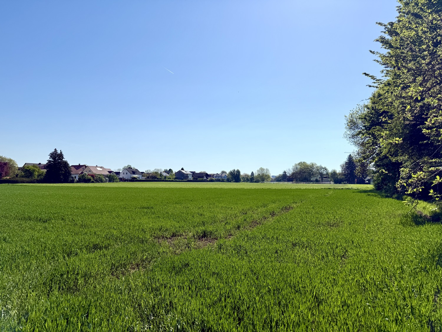 Wohnen an den Grünen Feldern