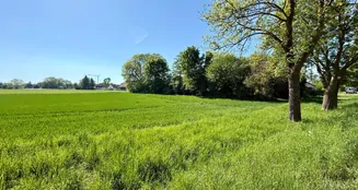 von_poll_real_estate_property_25119020d_image_16