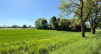 von_poll_real_estate_property_25119020d_image_16