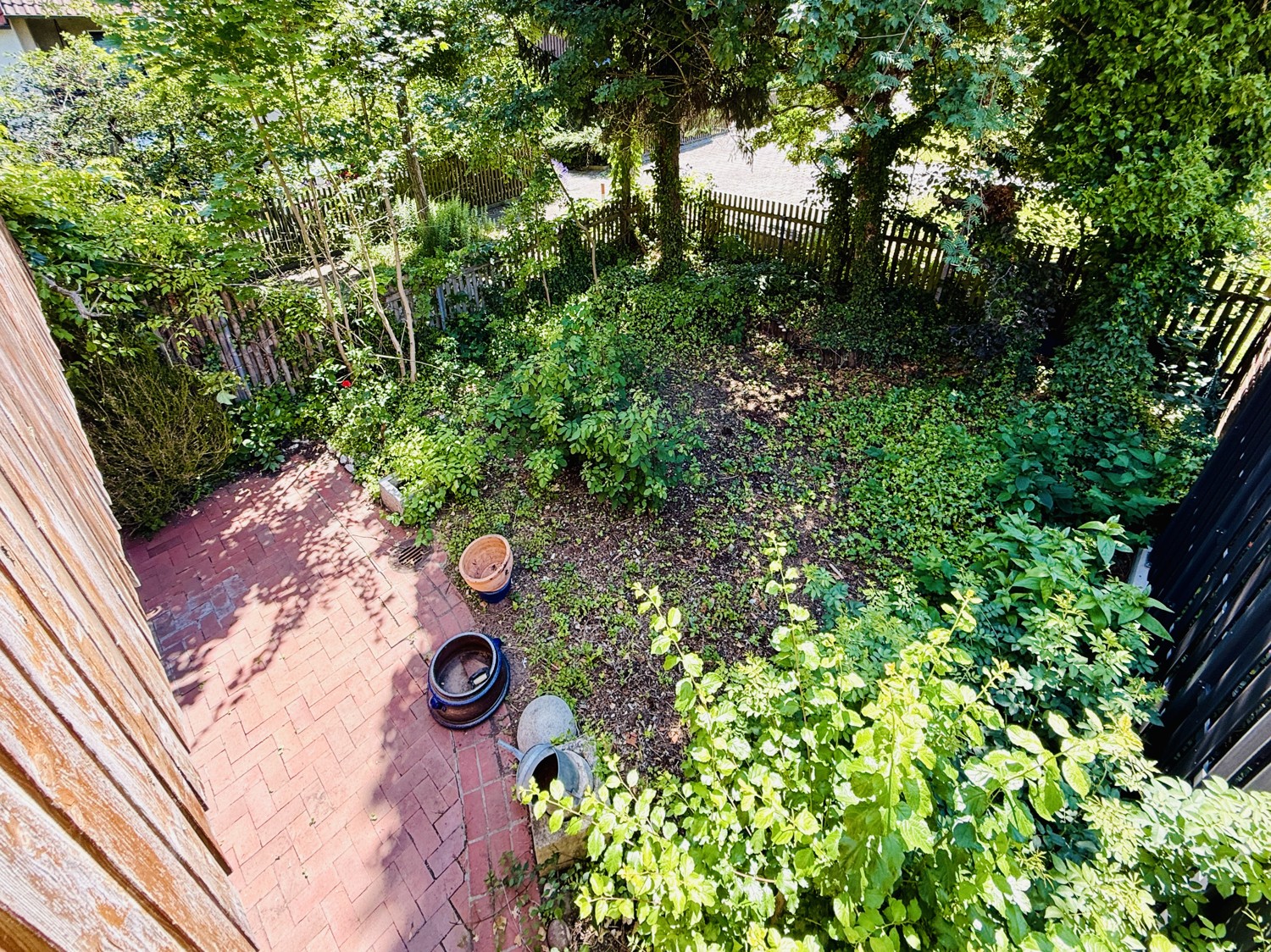Ausblick in den Garten