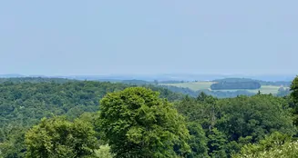 von_poll_real_estate_property_25119025_image_21