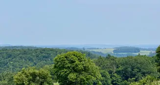 von_poll_real_estate_property_25119025_image_21