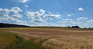 von_poll_real_estate_property_25119030_image_20