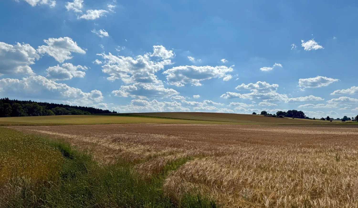 Wohnen direkt an den Feldern
