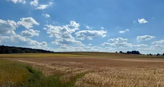 von_poll_real_estate_property_25119030_image_20