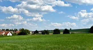 von_poll_real_estate_property_25119030_image_19