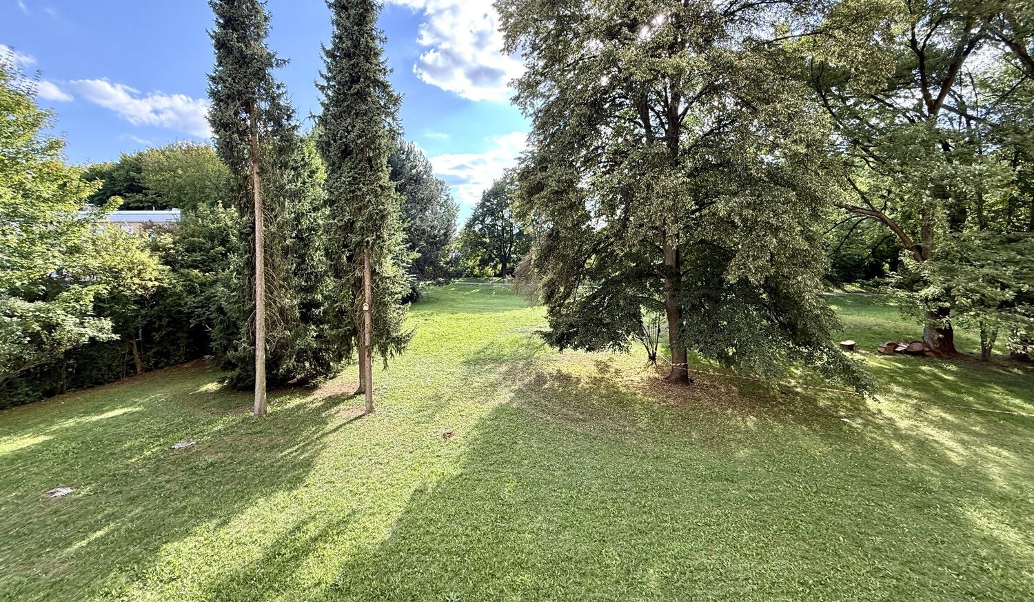 Aussicht in die grüne Parkanlage