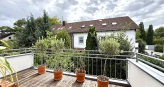 von_poll_real_estate_property_25119037_image_19