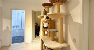 von_poll_real_estate_property_25119037_image_23