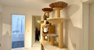 von_poll_real_estate_property_25119037_image_22