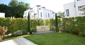 von_poll_real_estate_property_25119038_image_11