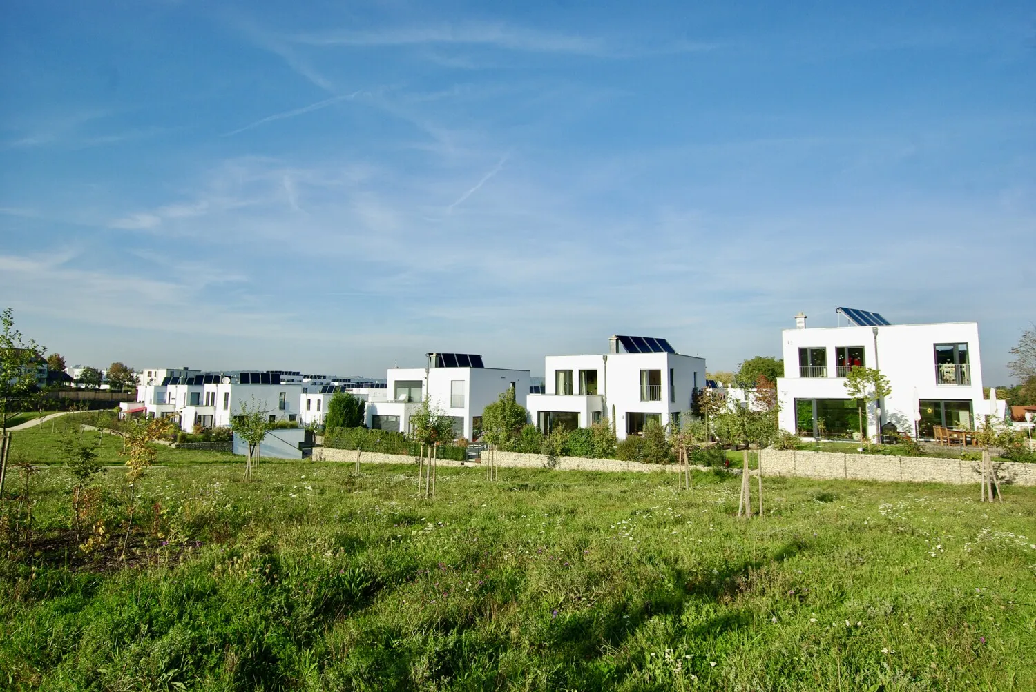 Wohnen am Dechbettener Weinberg