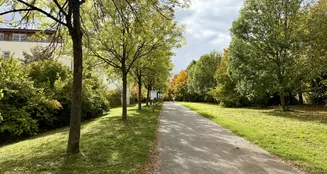 von_poll_real_estate_property_25119040_image_10