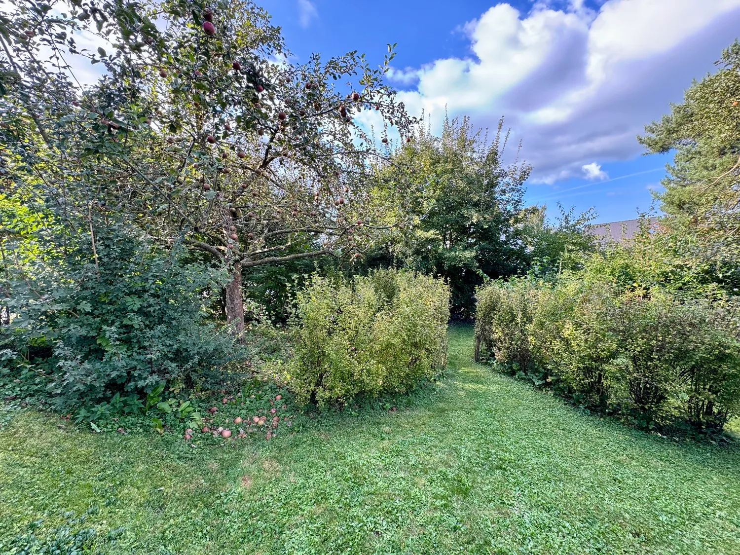 ruhige Wohnlage mit eigenem Gartenareal