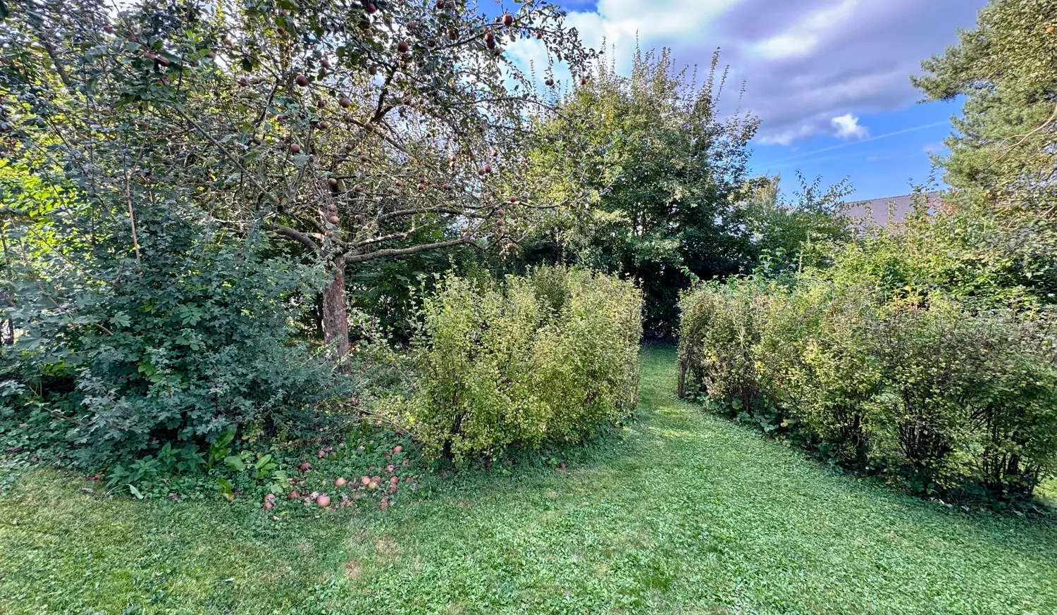 ruhige Wohnlage mit eigenem Gartenareal