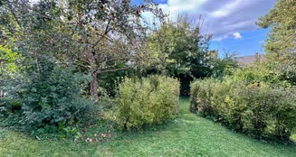 von_poll_real_estate_property_25119047_image_18