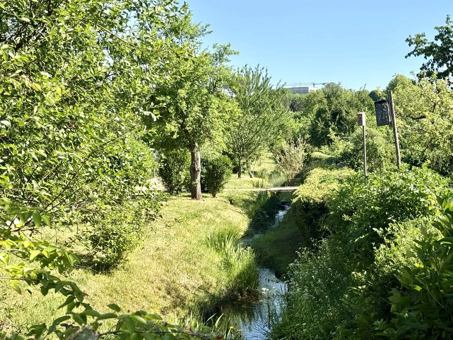 Wohnen direkt am sichtbar verlaufenden Vitusbach