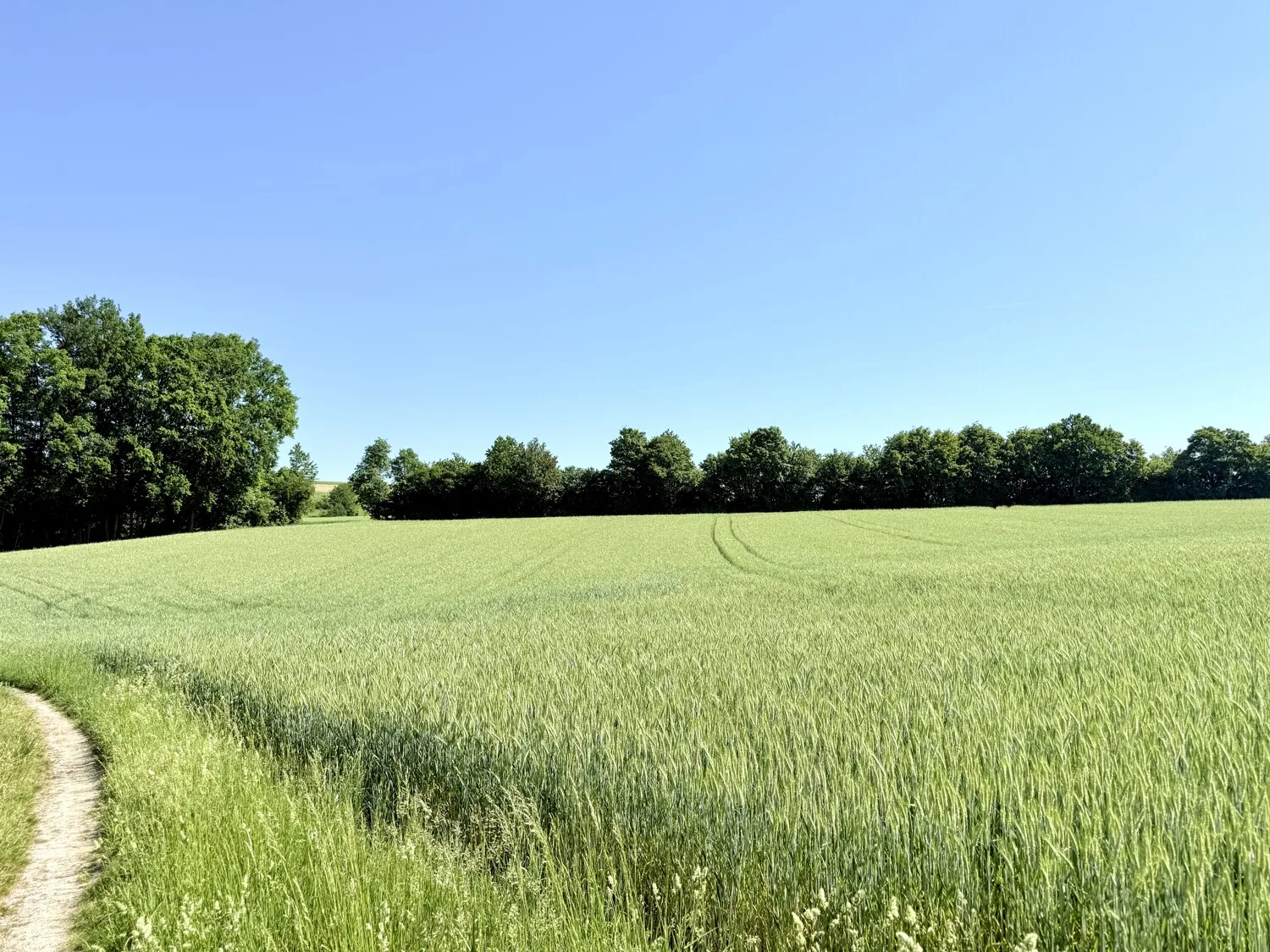 Wohnen an den grünen Feldern