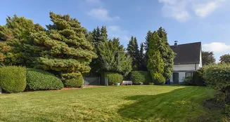 von_poll_real_estate_property_24070019_image_11