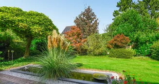 von_poll_real_estate_property_25070021_image_9