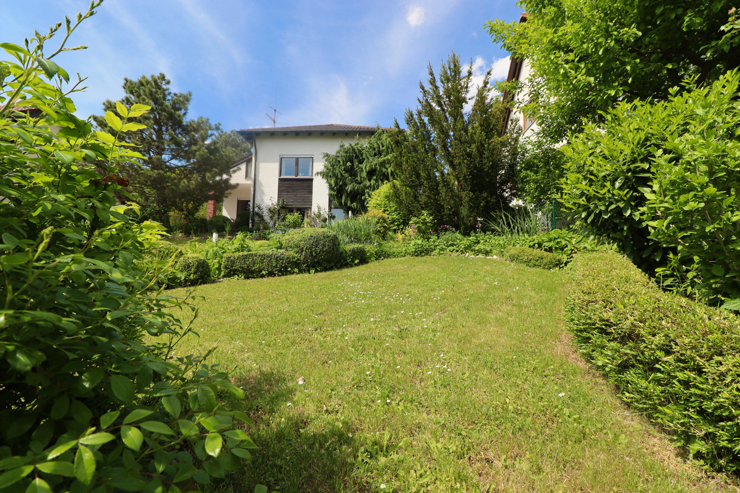 Exklusives Architektenhaus in Toplage nahe Kellerwald