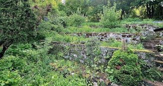 von_poll_real_estate_property_25125045_image_16