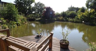 von_poll_real_estate_property_25125046_image_5