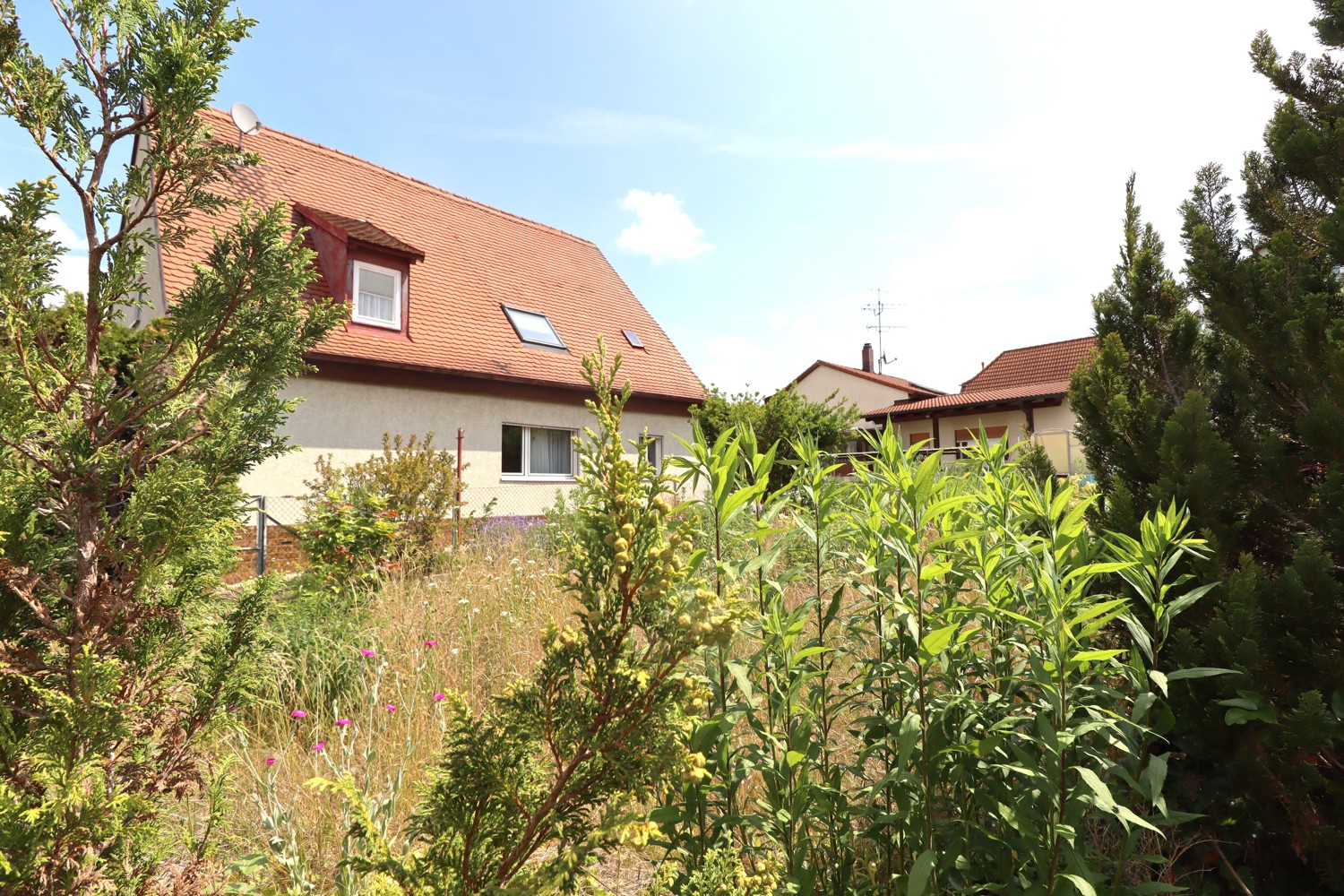 Zuhause mit Zukunft