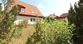 von_poll_real_estate_property_25125064_image_3