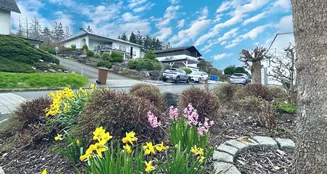 von_poll_real_estate_property_24049007_image_2