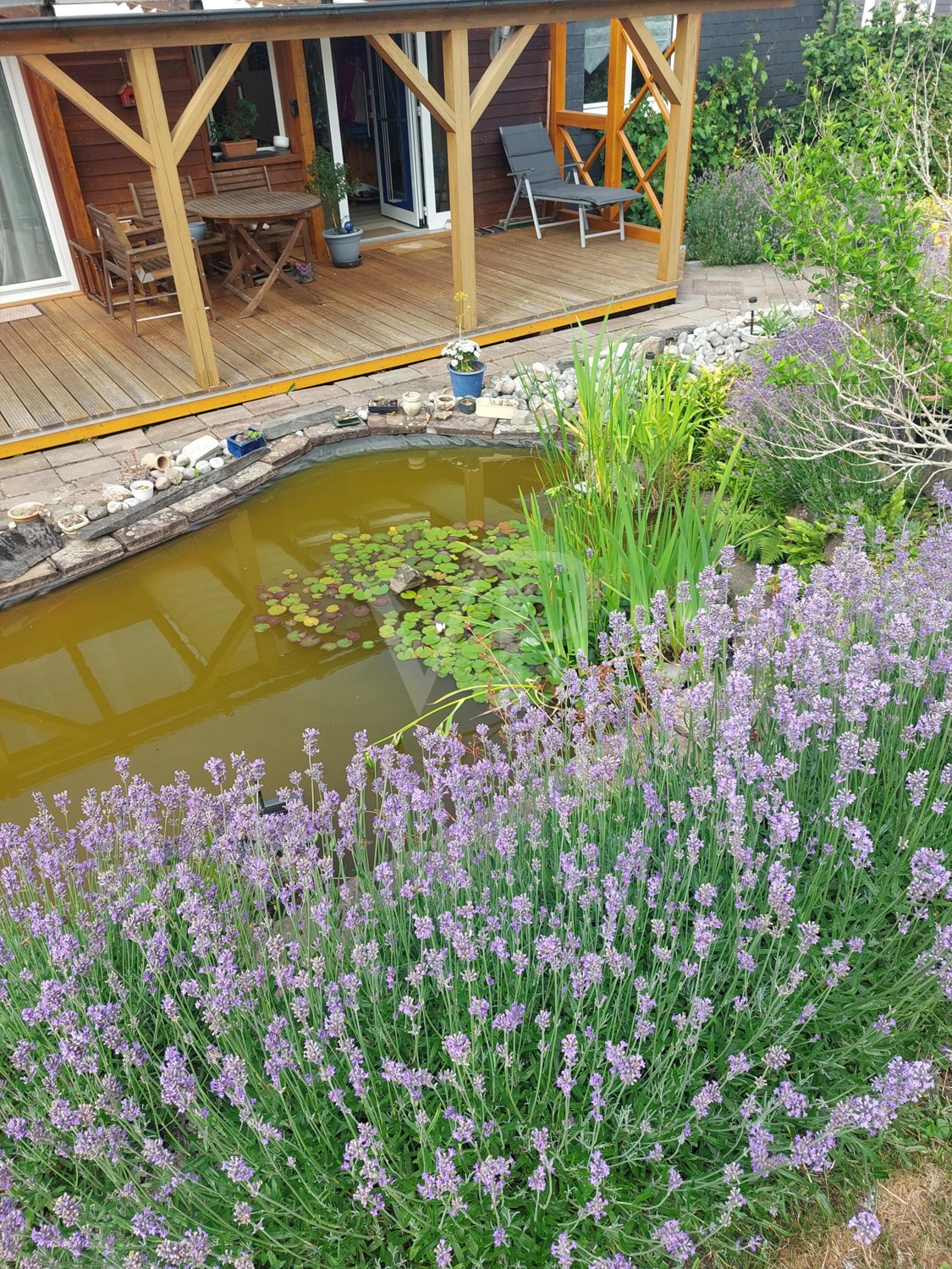 Blick vom Garten