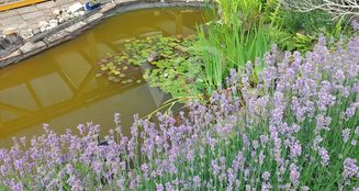 von_poll_real_estate_property_25049014_image_8
