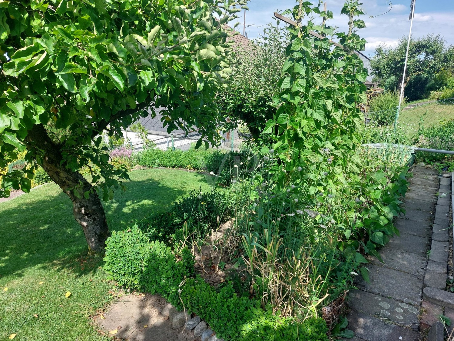 Gemüsegarten