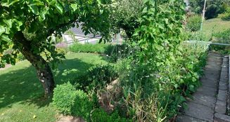 von_poll_real_estate_property_25049014_image_6