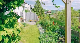 von_poll_real_estate_property_25049034_image_20