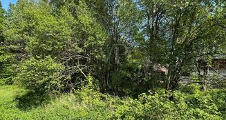 von_poll_real_estate_property_25049016_image_2