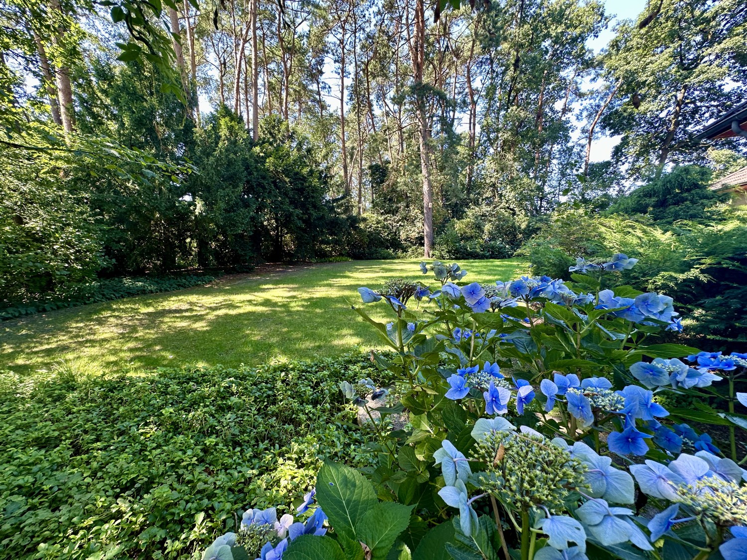 Blick in den Garten