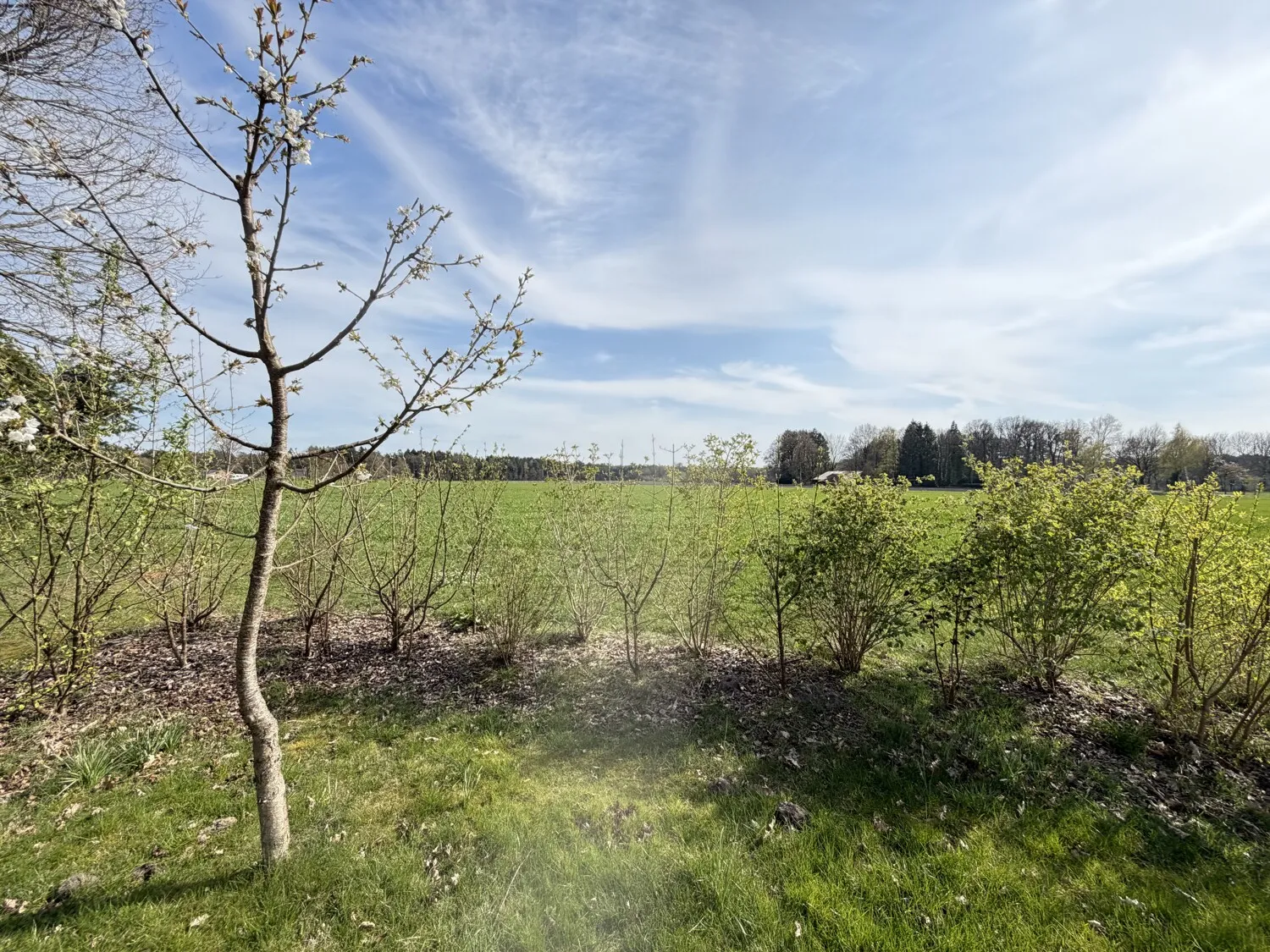 Blick über die Felder