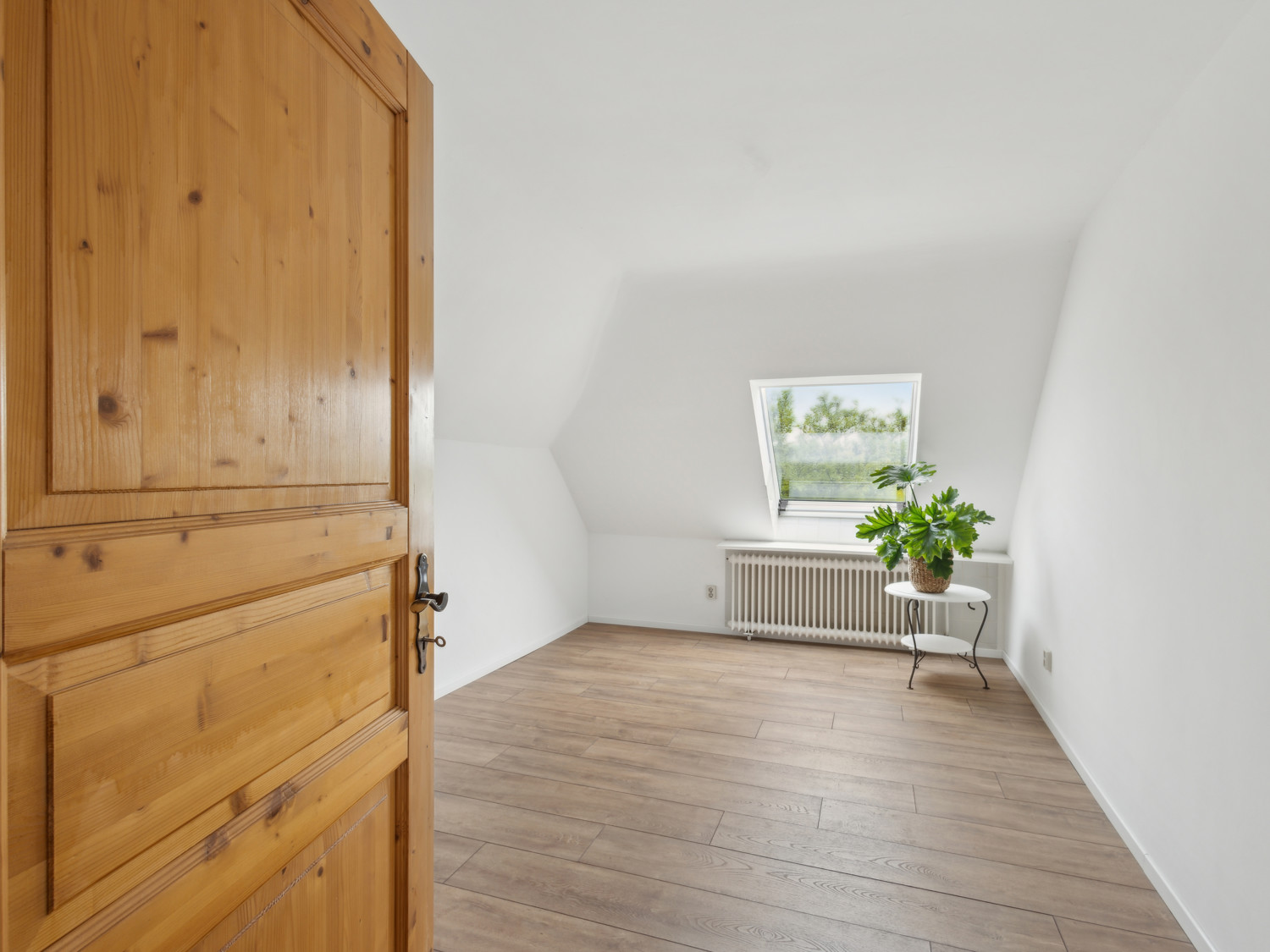Zimmer DG