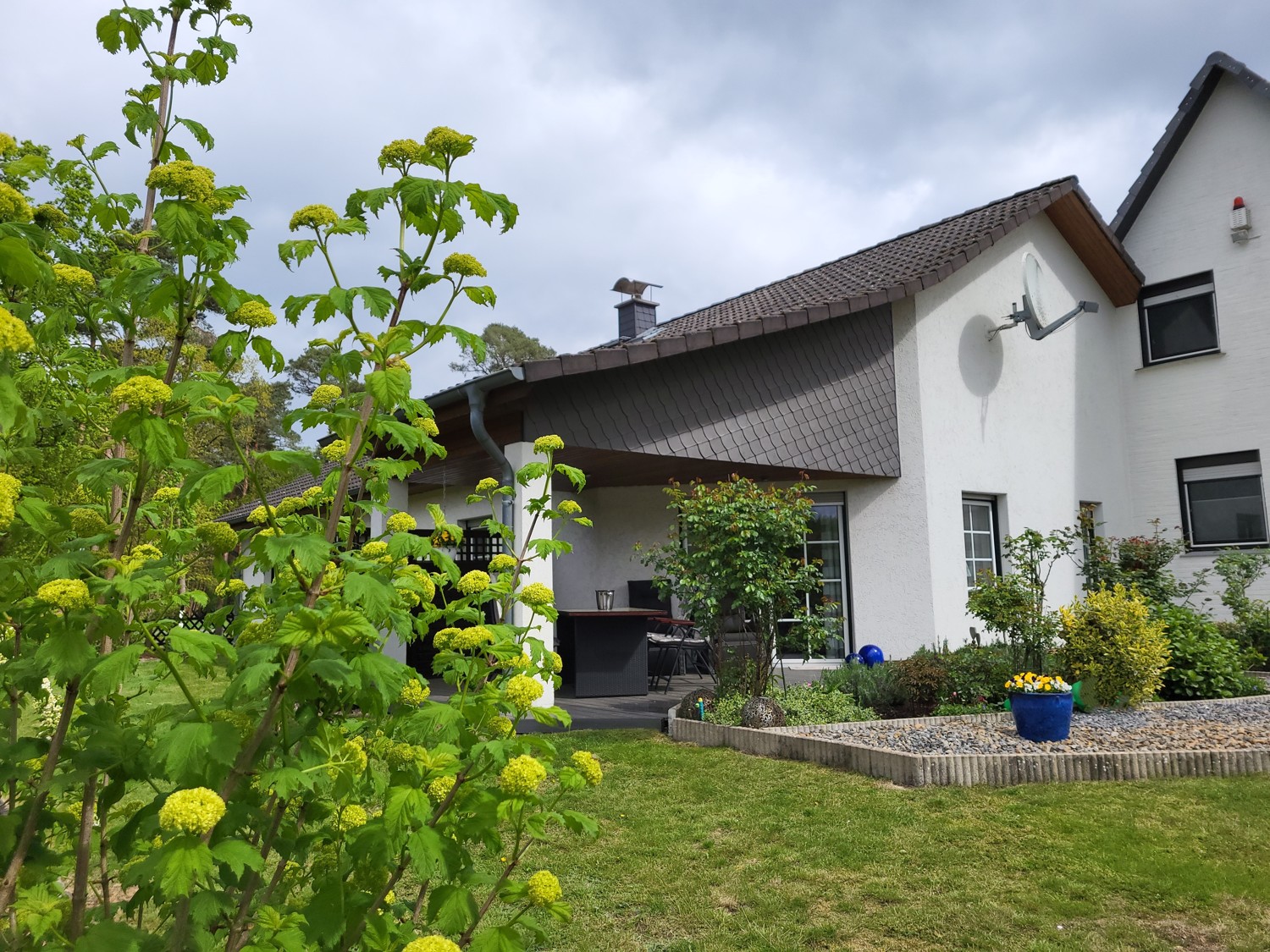 Blick zur Terrasse