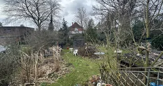 von_poll_real_estate_property_23205045_image_13