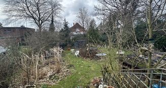 von_poll_real_estate_property_23205045_image_13
