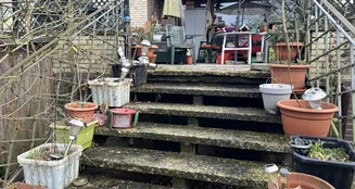 von_poll_real_estate_property_23205045_image_7