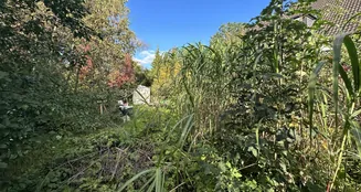 von_poll_real_estate_property_23205045_image_5