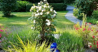 von_poll_real_estate_property_24205002_image_9