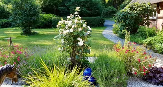 von_poll_real_estate_property_24205002_image_9