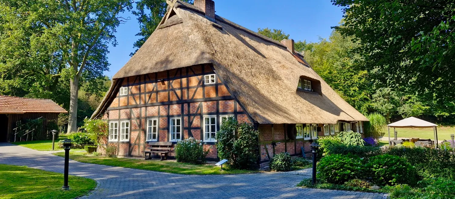 Südgiebel  / Ostseite Reetdach überarbeitet September 2024