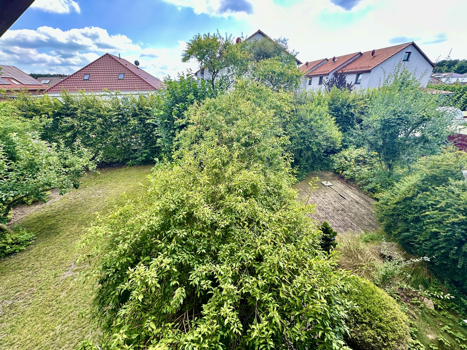 Blick von oben in den Garten